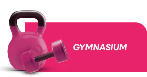 Gymnasium
